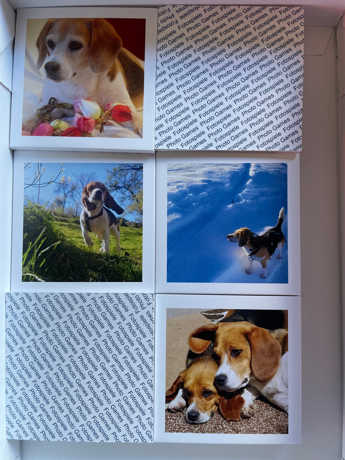 Memory "Beagle" 2026